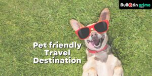 Pet Friendly Travel Destination