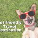 Pet Friendly Travel Destination