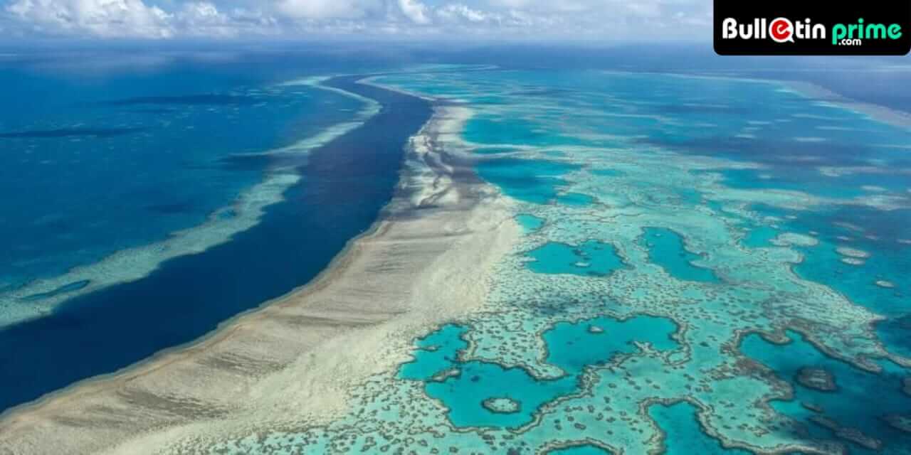 Great Barrier Reef be listed as "vulnerable."