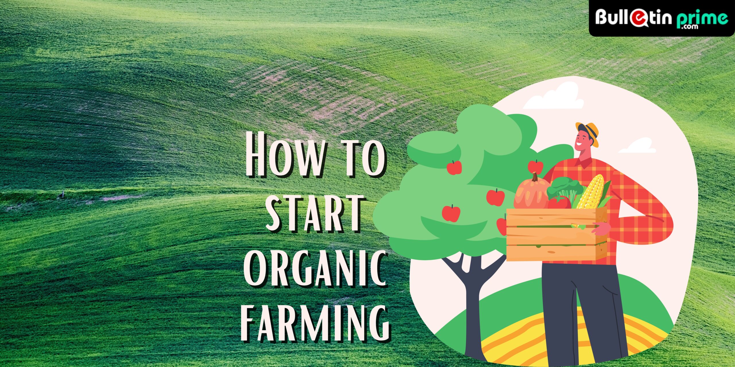 How to start organic farming