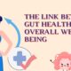 The Link Between Gut Health and Overall Well being